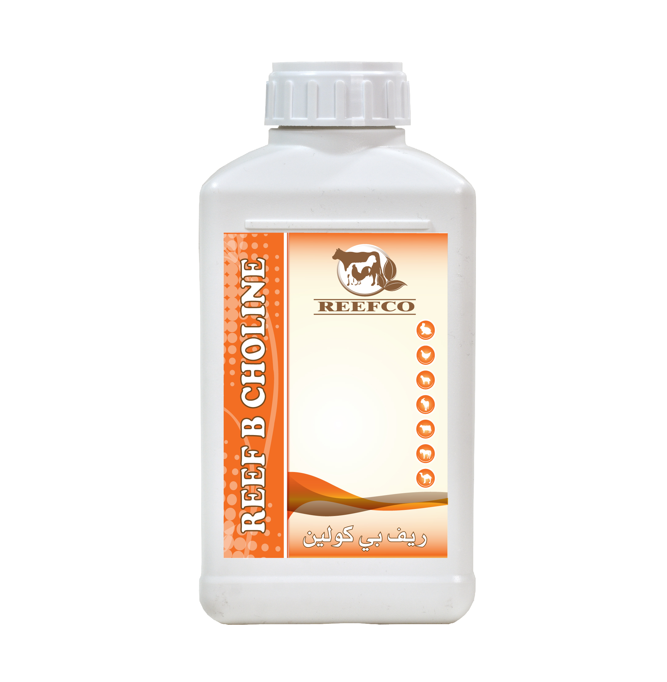 REEF B CHOLINE Liquid