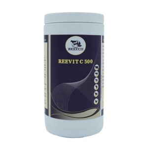 REEVIT C 500 Powder