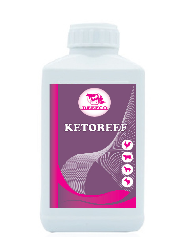 KETOREEF Liquid